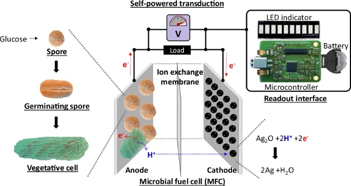 출처 : '마이크로시스템 및 나노공학(Microsystem & Nanoengineering' 저널