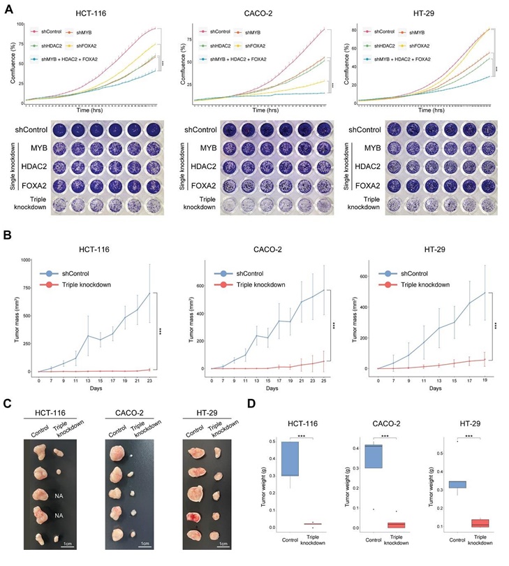 실험을 통해 가역화 효과 검증 / 출처 : 카이스트