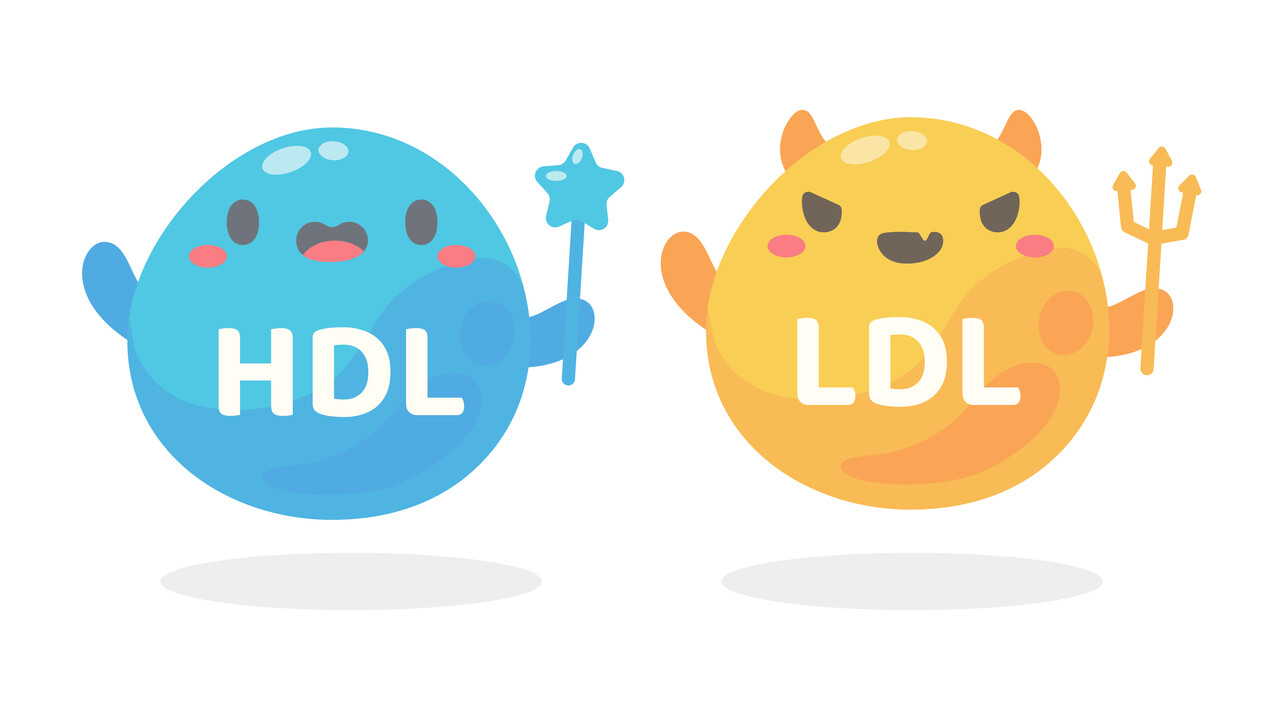 'HDL = 좋은 것, LDL = 나쁜 것'이라는 인식에 브레이크를 거는 연구결과가 나왔다 / Designed by Freepik
