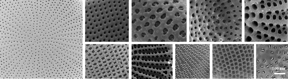 돌말류는 천연적으로 다양한 다공성 형태를 지니고 있다 / 출처 : 환경부 보도자료