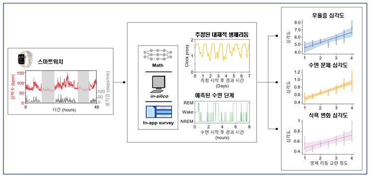 알고리즘을 통해 매일 생체리듬 교란 정도를 추정할 수 있으며, 이를 통해 우울증 증상을 예측할 수 있다. / 출처 : KAIST