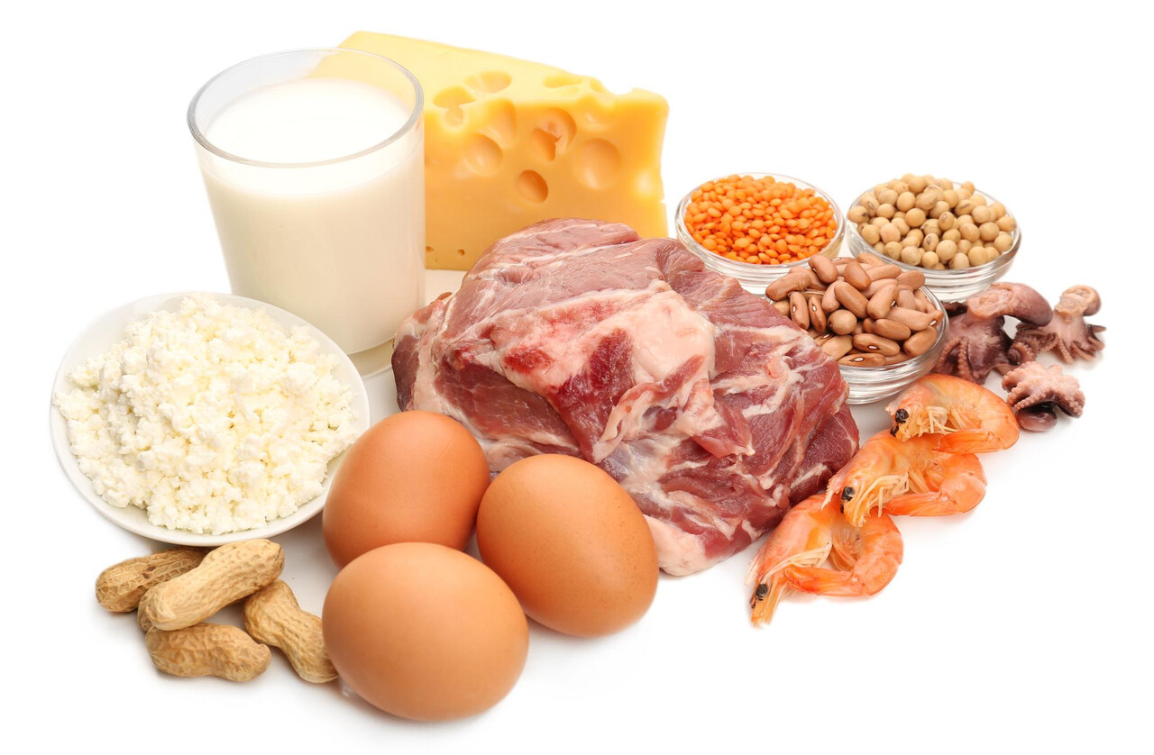 Scientific Protein Intake Method to Prevent Muscle Loss After Middle Age (2)