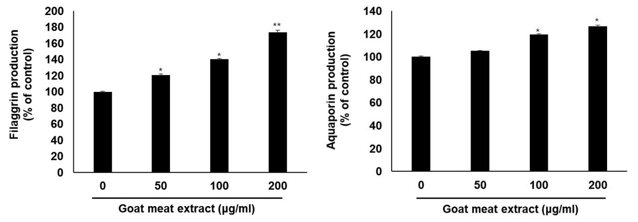 염소고기 추출물의 피부 개선 관련 인자 생산량 분석 / 출처 : 농촌진흥청 보도자료