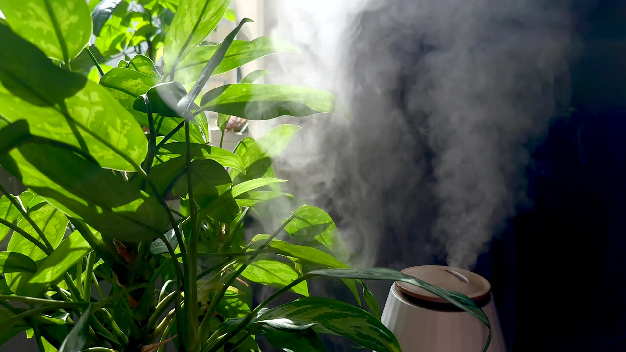 실내 공기의 질과 습도를 관리하는 것도 중요하다 / 이미지 출처 : 모션 엘리먼츠