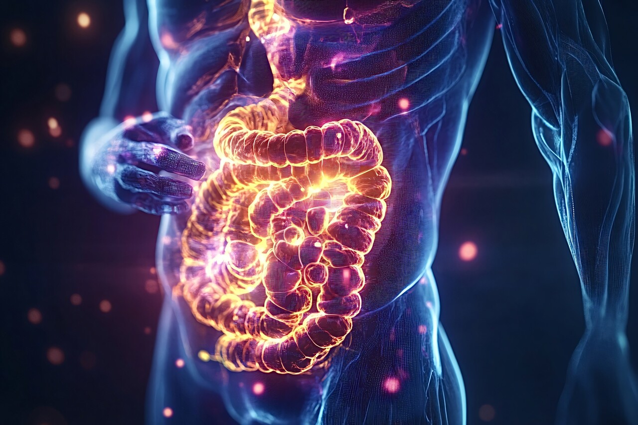 스트레스는 장 운동성에 영향을 미쳐 과민성 대장 증후군을 유발할 수도 있다 / 이미지 출처 : Motion Elements
