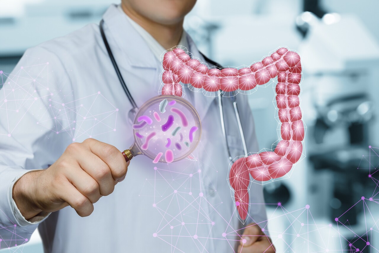 건강한 장을 위해서는 다양한 유산균이 골고루 존재해야 한다 / 이미지 출처 : Motion Elements