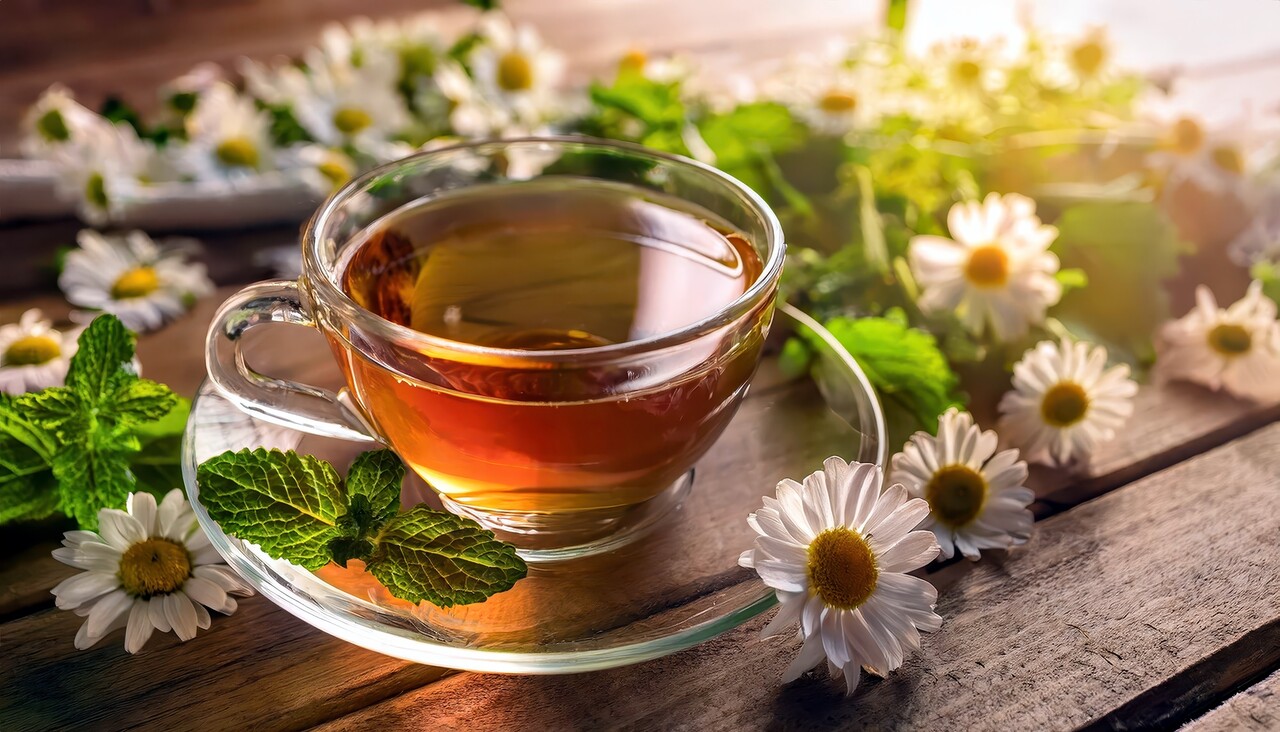 이미지 출처 : Motion Elements