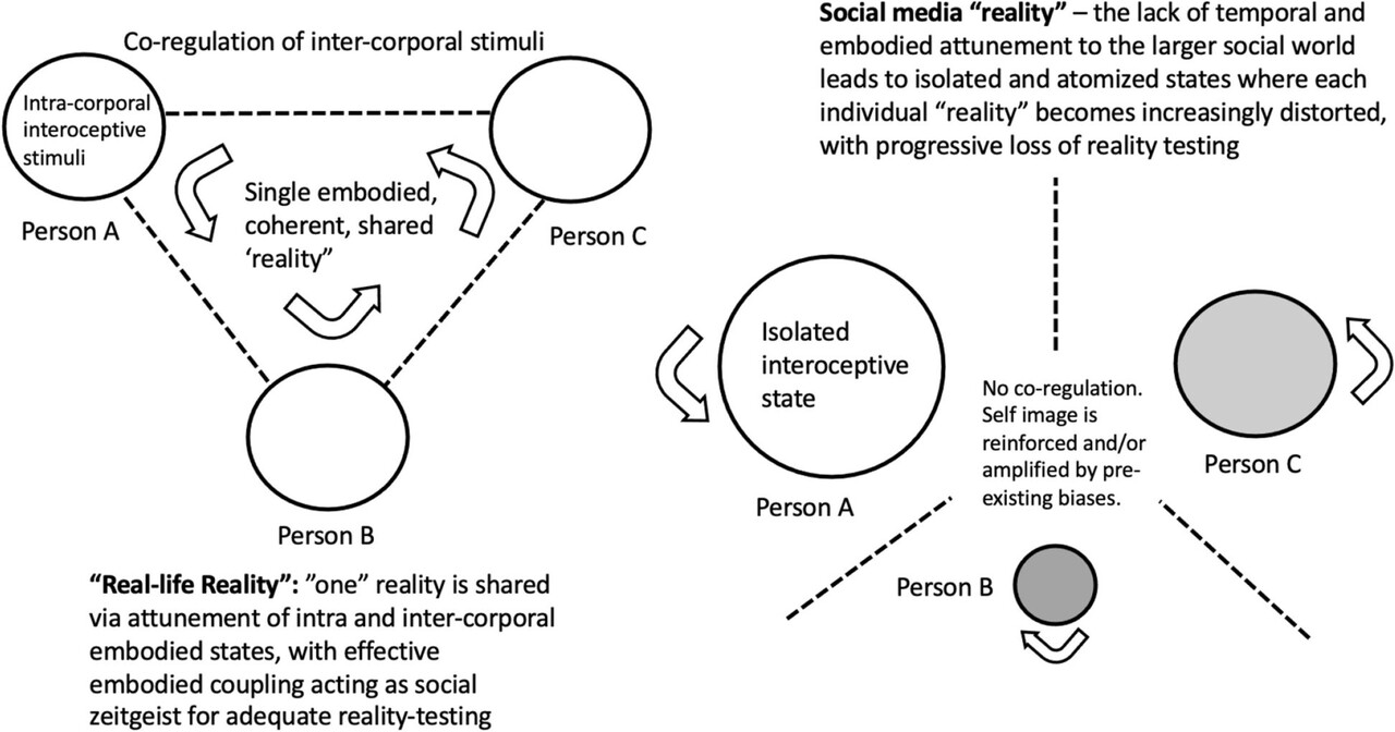 소셜 미디어가 자기-타인 상호작용에서 현실의 본질을 어떻게 변화시키는지에 대한 모델 / 출처 : BMC Psychiatry
