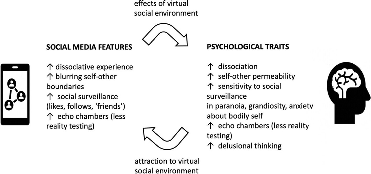 소셜 미디어의 특징이 인간의 심리적 특성과 어떻게 상호작용하는지에 대한 단순화 모델 / 출처 : BMC Psychiatry