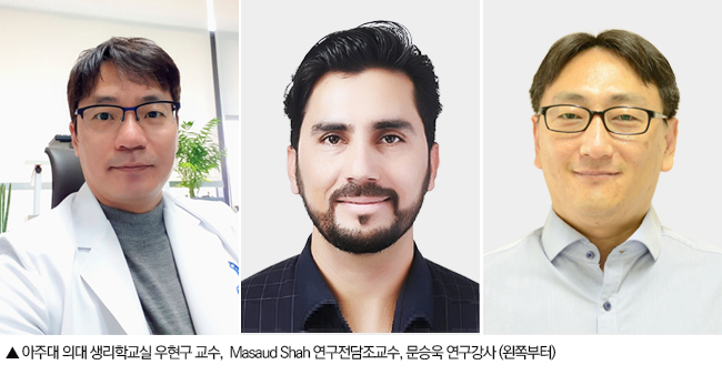 아주대 의대 우현구 교수팀 / 제공 : 아주대학교