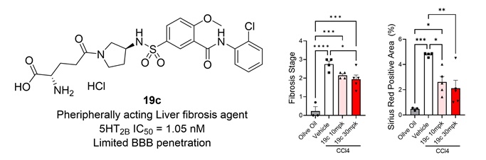 새로운 간섬유화 치료제 후보물질 개발 / 출처 : BRIC Bio통신원