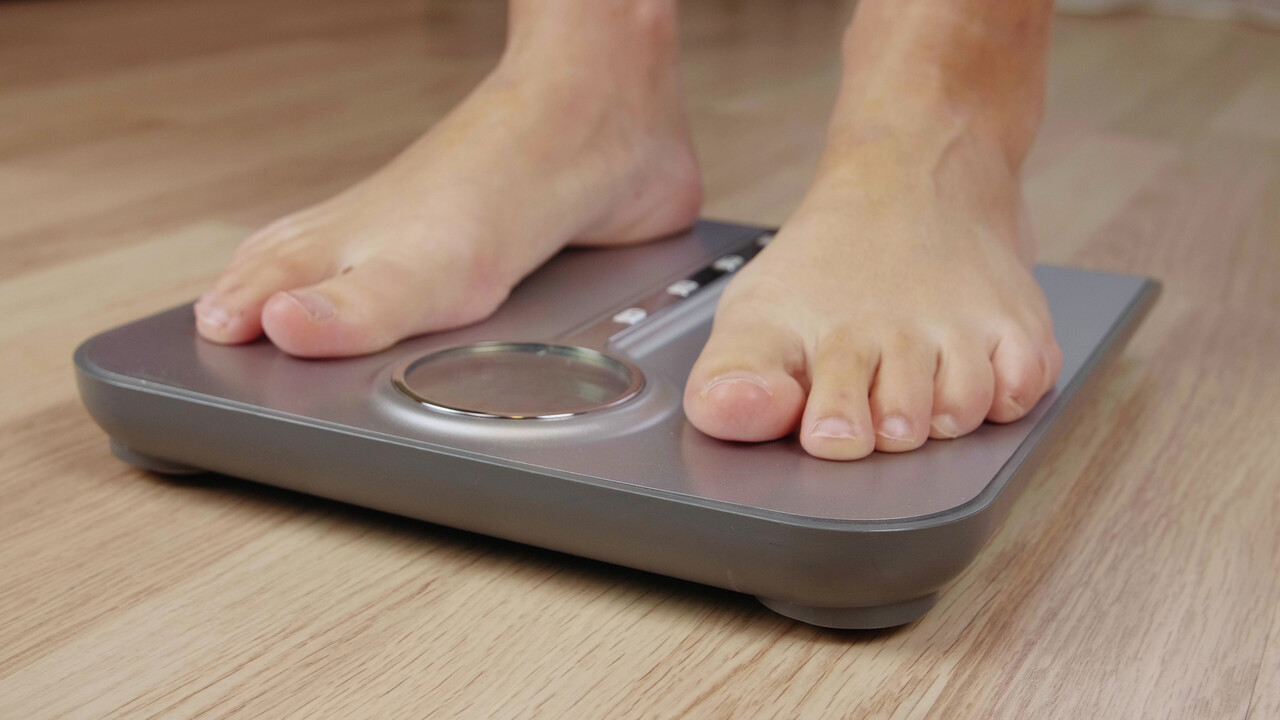 똑같이 밤낮이 바뀐 상황이 반복됐는데도, 남녀의 체중 변화는 상반되게 나타났다 / 이미지 출처 : Motion Elements