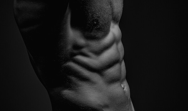 단백질은 근육 외에도 여러 중요한 역할을 한다 / 이미지 출처 : Motion Elements