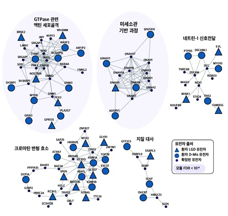 척수 수막류 관련 유전자 및 생물학적 기능 네트워크 / 출처 : BRIC Bio통신원