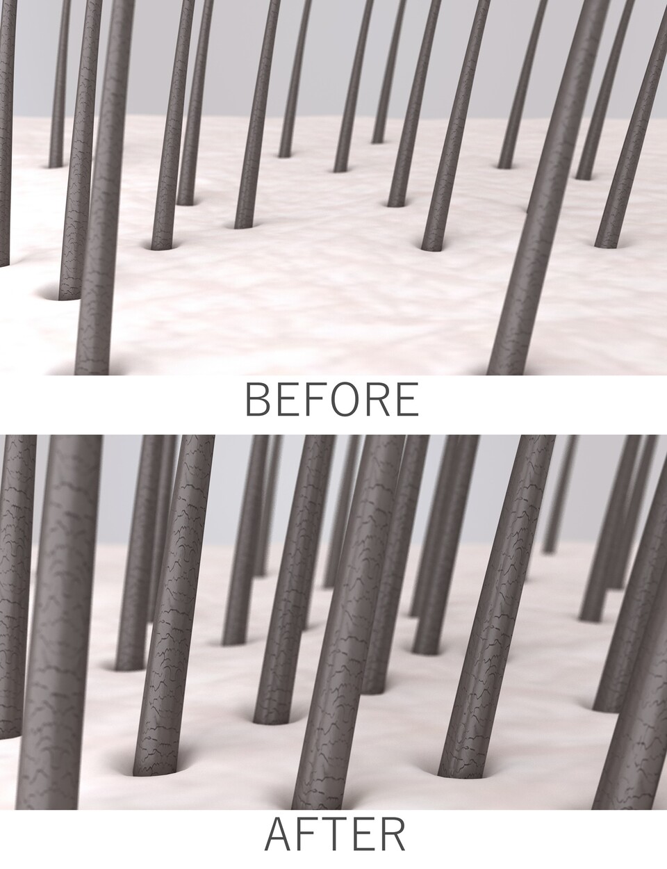 모발 재생이 원활하게 이루어지려면 모낭 줄기세포가 제 기능을 발휘할 수 있도록 보호해야 한다 / 이미지 출처 : Motion Elements