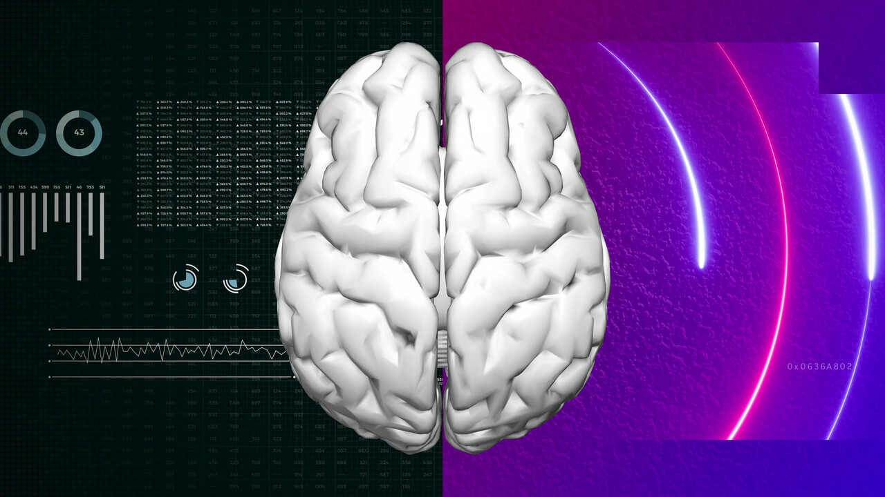 이미지 출처 : Motion Elements