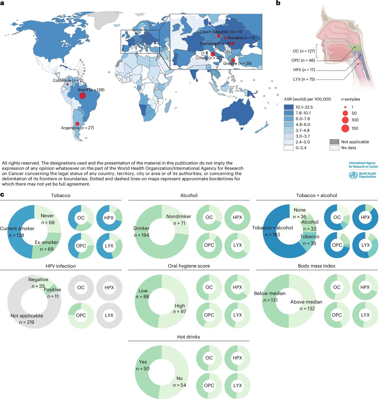두경부암 발생률 및 역학적 특성 / 출처 : Nature Genetics