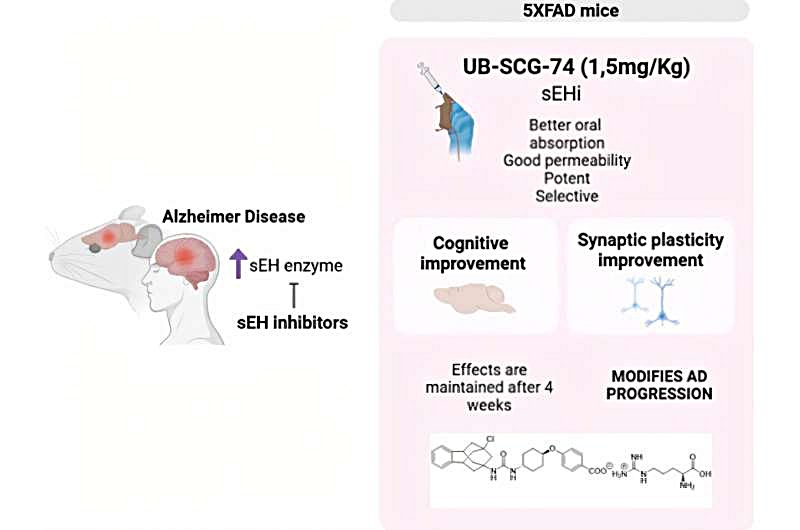 출처 : ACS Pharmacology & Translational Science