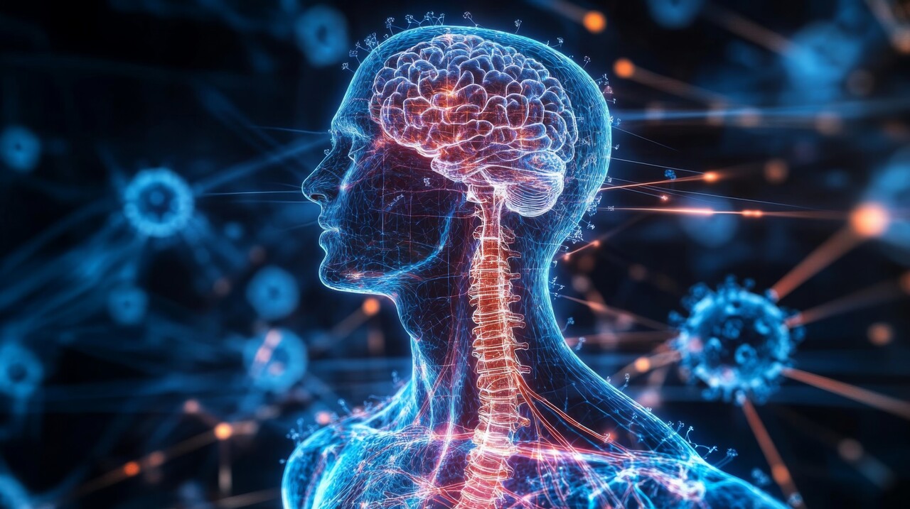 이번 연구 결과에 따라 신경계에 영향을 미치는 바이러스와 치매의 연관성이 보다 뚜렷해질 것으로 기대된다 / 이미지 출처 : Motion Elements