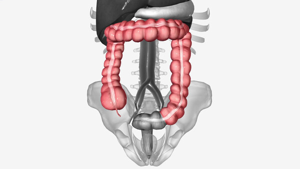이미지 출처 : Motion Elements