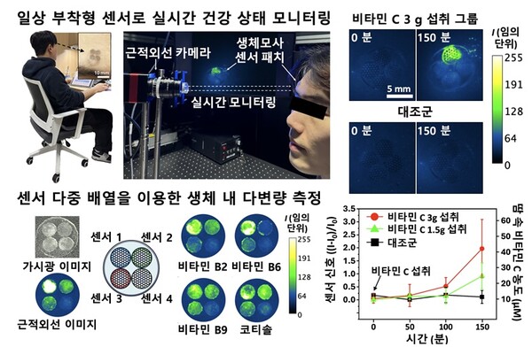 실시간 생체 정보 모니터링을 위한 고성능 센서 다중 배열의 응용과 실제 생체 내 비타민 C 농도 실시간 원격 측정 시연 / 출처 : 성균관대학교