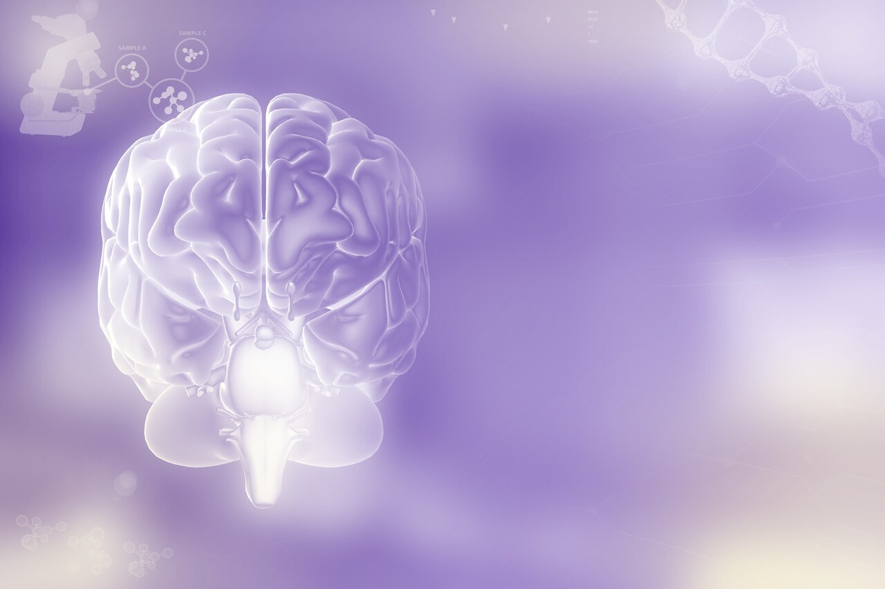 이미지 출처 : Motion Elements