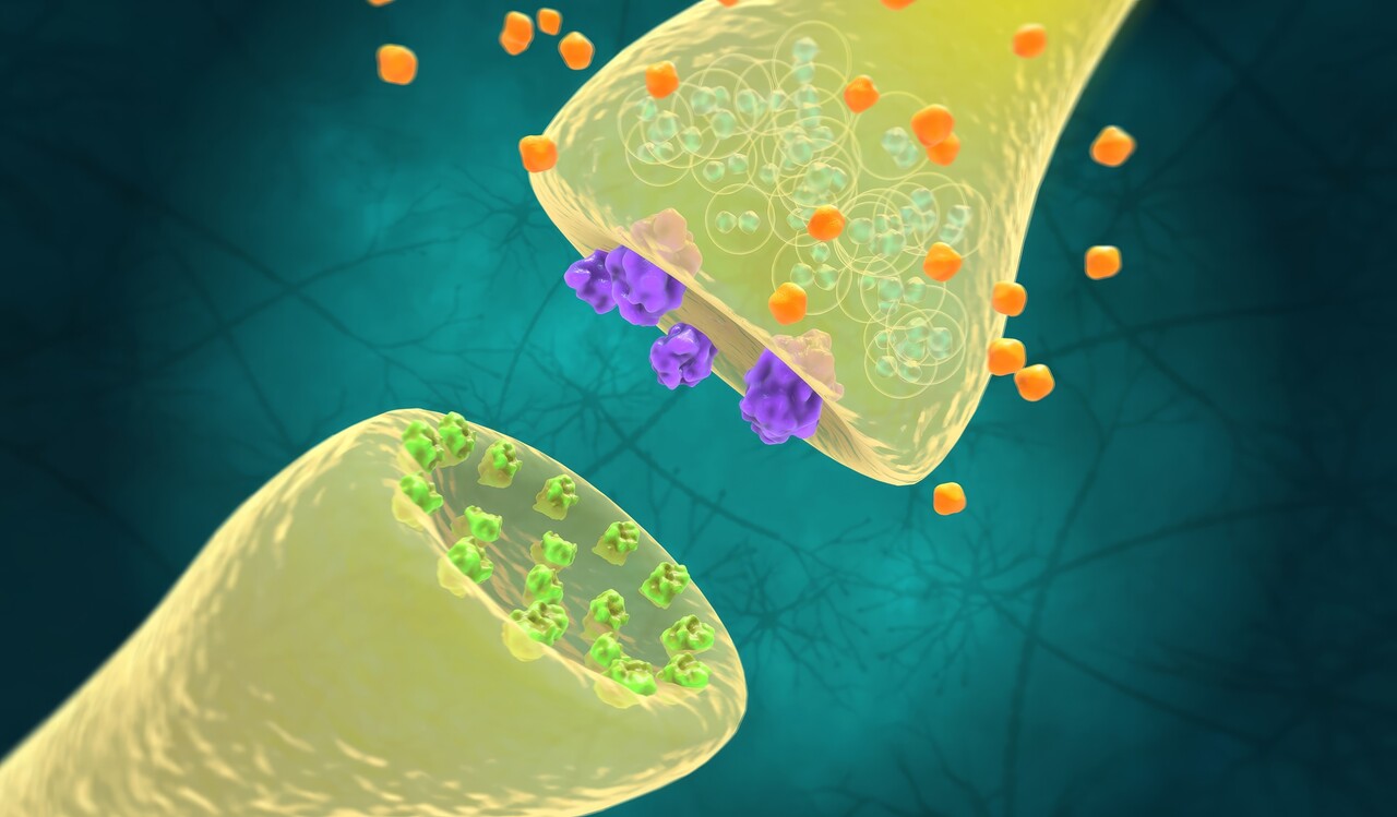 신경전달물질의 일종인 도파민 부족으로, 신체 내부&외부의 운동 조절에 영향을 미친다 / 이미지 출처 : Motion Elements