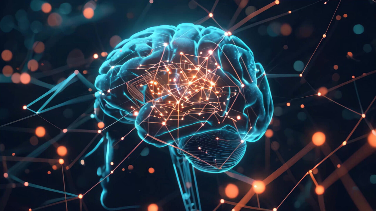 유산소 운동을 통해 뇌의 해마 크기가 실제로 커진다는 연구 결과가 함께 제시됐다 / 이미지 출처 : Motion Elements