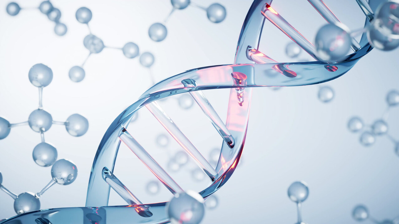 DNA는 다양한 화학반응 조건에 쉽게 손상될 우려가 있다 / 이미지 출처 : Motion Elements