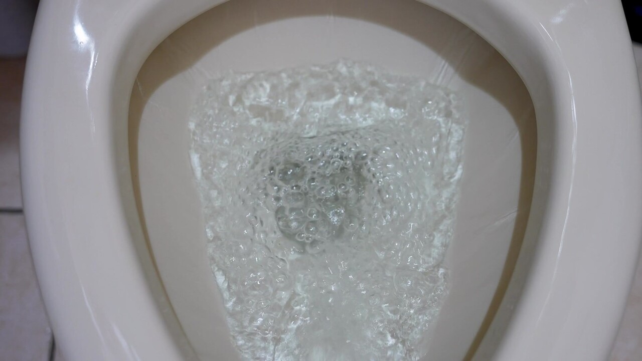 소변을 보고 나서 물을 내리기 전, 색깔이나 탁한 정도, 거품 여부를 살펴보는 습관을 들이자 / 이미지 출처 : Motion Elements