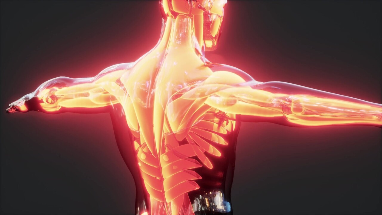 이미지 출처 : Motion Elements