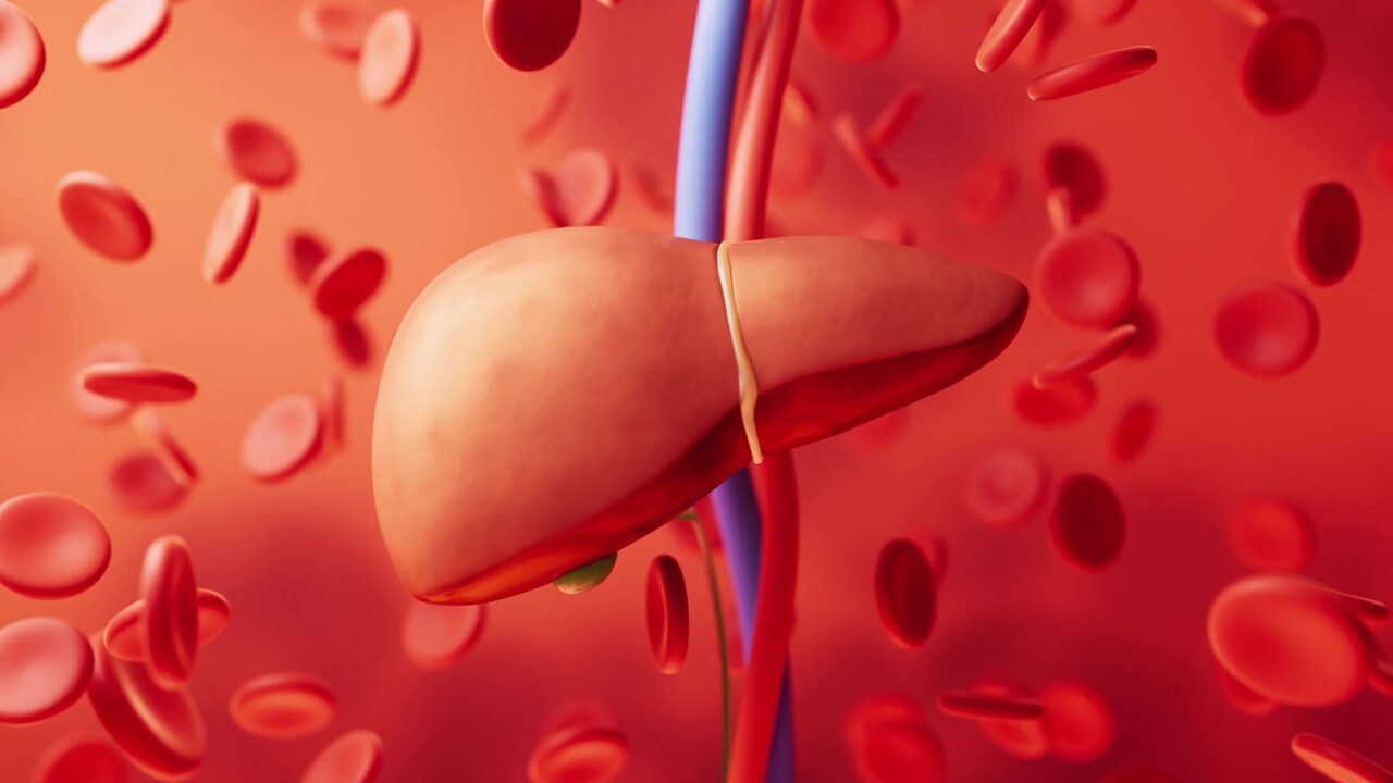 이미지 출처 : Motion Elements