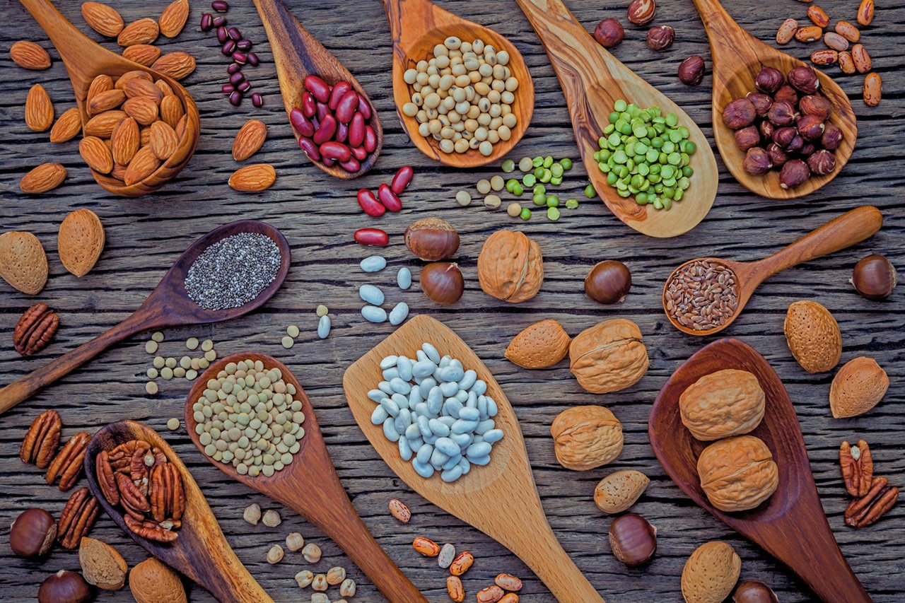 비건 식단에서 라이신/류신을 충분히 섭취하기 위해서는 콩류, 견과류, 씨앗류에 주목할 필요가 있다 / 이미지 출처 : Motion Elements