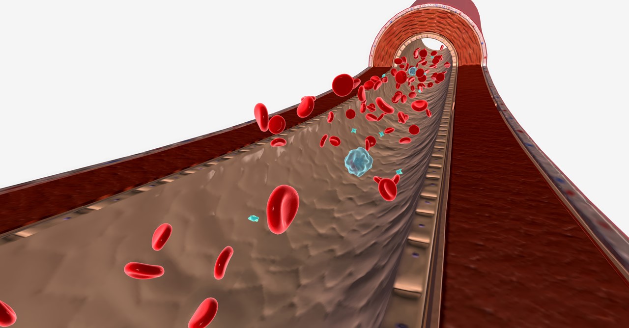 혈관 속 특정 세포에 형광 표시를 하고, CircTrek으로 추적·모니터링할 수 있다 / 이미지 출처 : Motion Elements