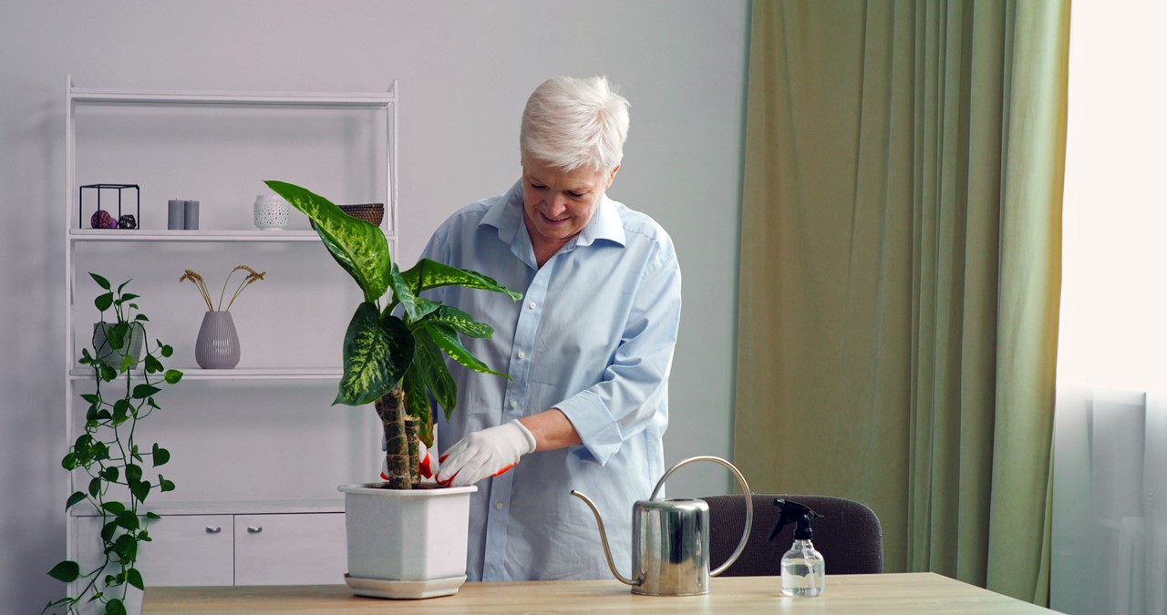 자신의 건강 상태에 맞는 적당한 일상 활동으로도 심혈관 건강에 유의미한 효과를 얻을 수 있다 / 이미지 출처 : Motion Elements