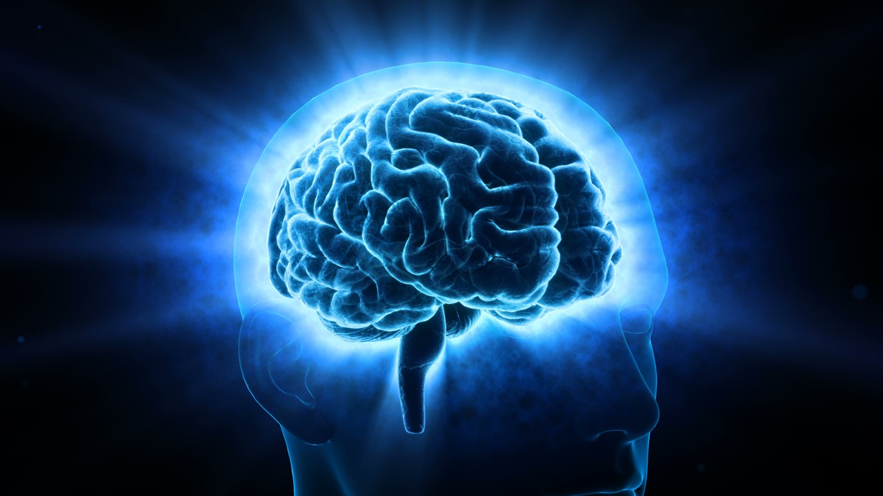 세포에서 스스로 클로토 단백질을 만들어낼 수 있도록 하는 치료법을 연구 중이다 / 이미지 출처 : Motion Elements