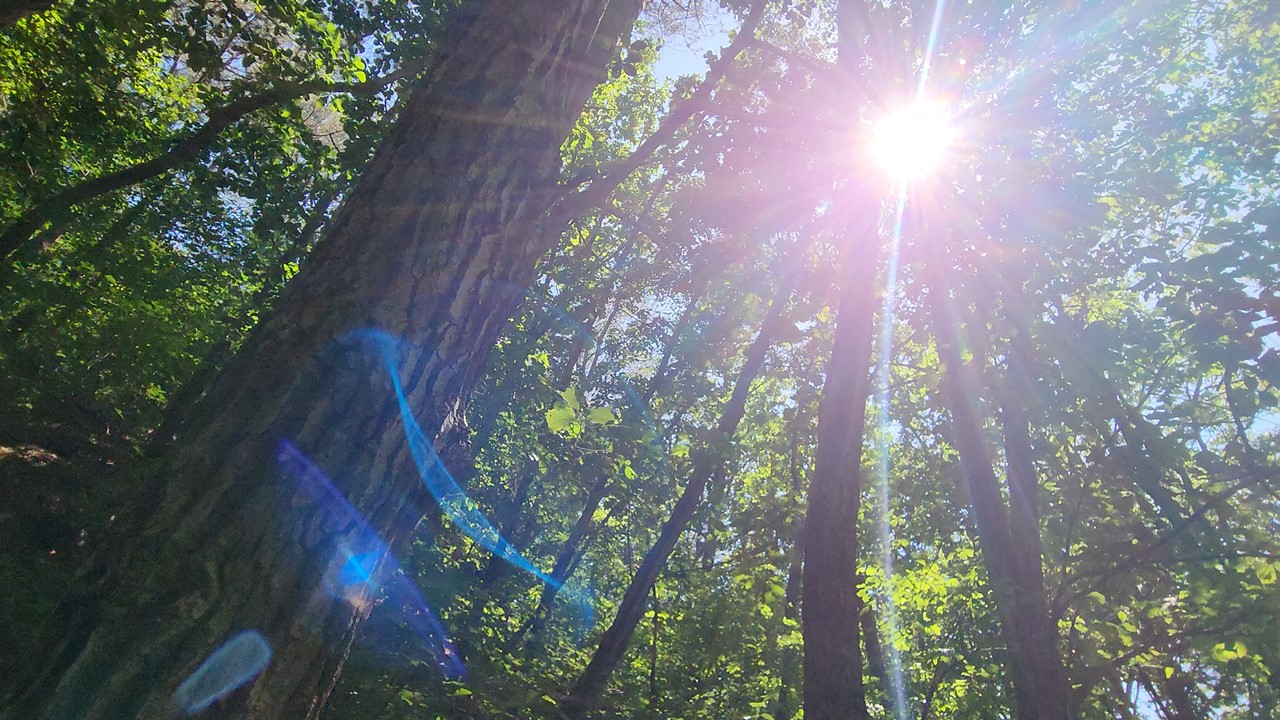 이미지 출처 : Motion Elements