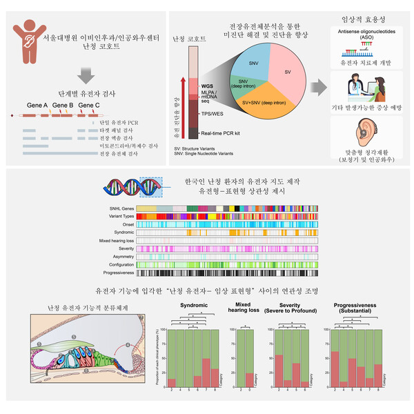 [그림] 감각신경성 난청 유전자 분석 과정 요약