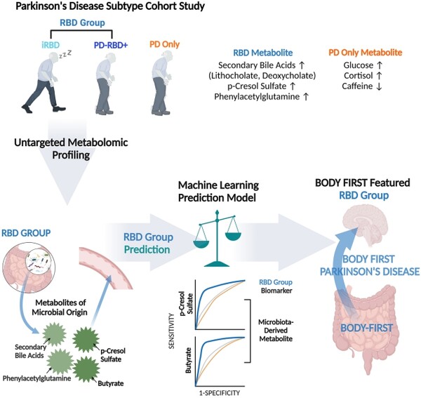 [그림] 렘수면행동장애(RBD) 유무에 따른 파킨슨병 하위 유형 대사체 프로파일