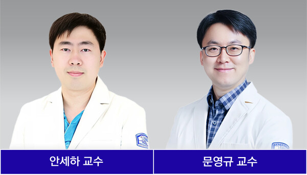 [사진] 안세하 교수 문영규 교수