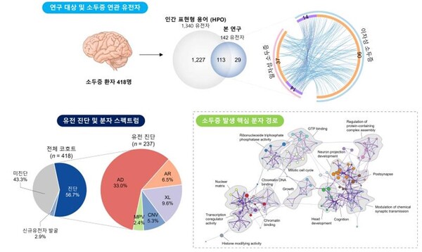 [자료] 국내 소두증 유전자 스펙트럼 규명